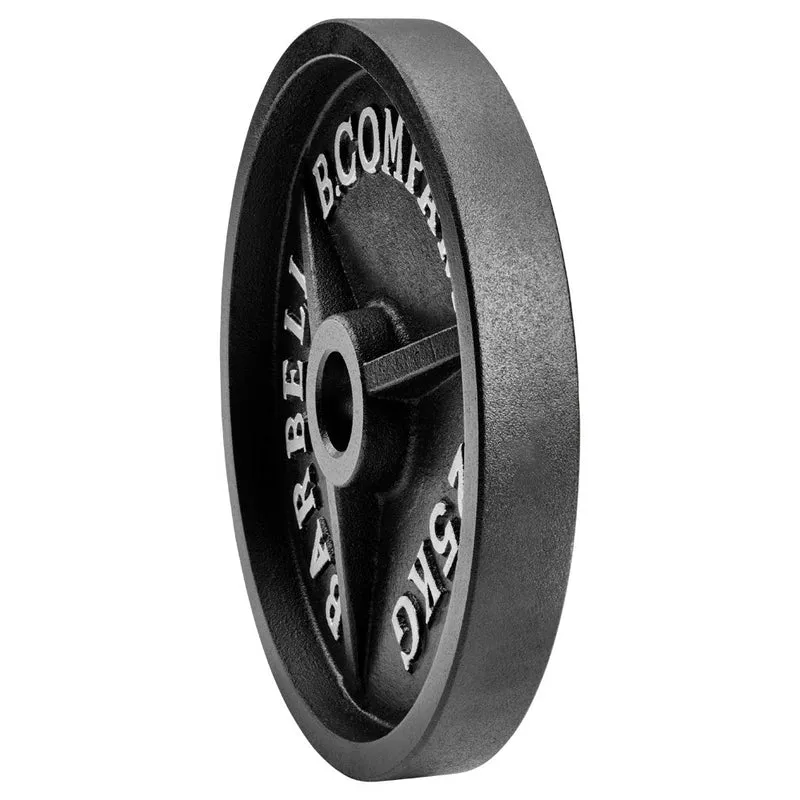 Guss Hantelscheiben 50/51 mm