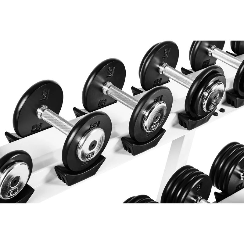 Profi Studio Satz von 5 Kg - 27,5 Kg inkl. Ablage/Rack Guss